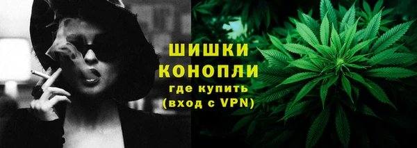 ГАЛЛЮЦИНОГЕННЫЕ ГРИБЫ Горно-Алтайск