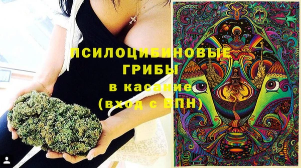 MDMA Горнозаводск