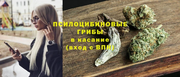 наркотики Горняк