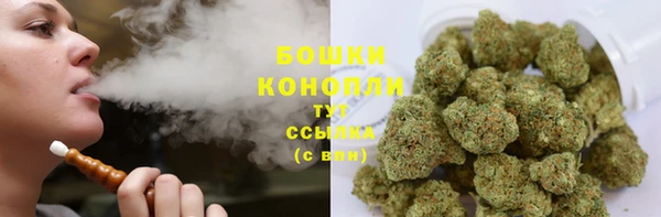 ГАЛЛЮЦИНОГЕННЫЕ ГРИБЫ Горно-Алтайск