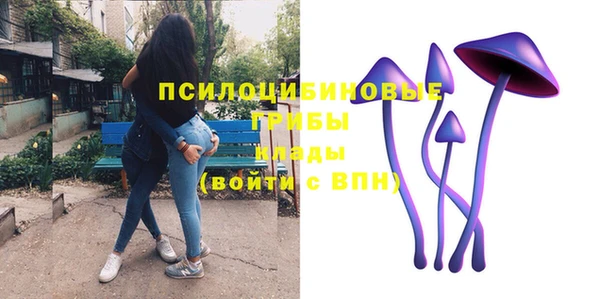 MDMA Горнозаводск