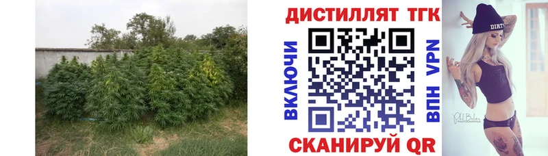 ТГК гашишное масло  Новокузнецк 
