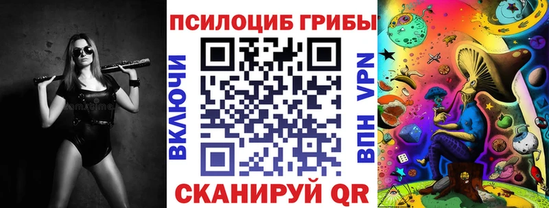 Псилоцибиновые грибы Psilocybine cubensis  ссылка на мегу вход  Новокузнецк 